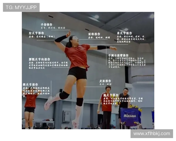 杭州排球队的比赛经验分享与成长之路探讨